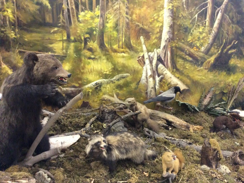 малые города, Чернушка, Пермский край, В.Г. Хлопин, Чернушинский краеведческий музей, музеи Урала, Чернушинский район, история Урала,