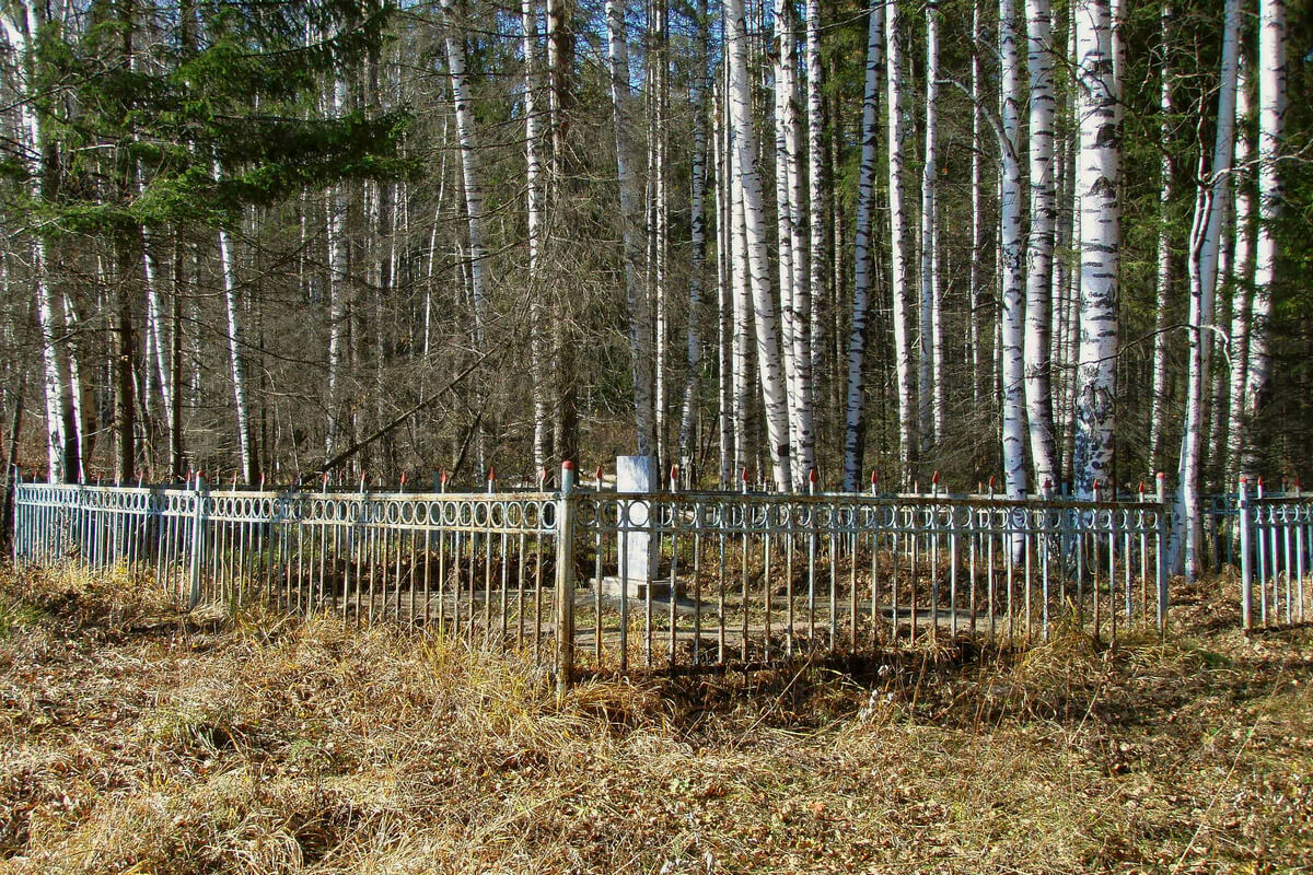 Лесопарк, Нижняя Тура, Свердловская область