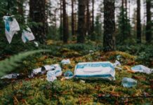 Туалет в походе: как организовать правильно и экологично — гид для всех видов туризма