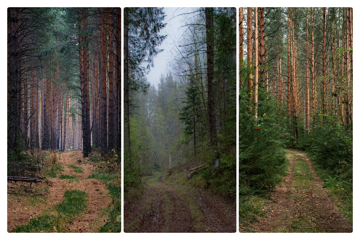 Фото: Людмила Баймухаметова