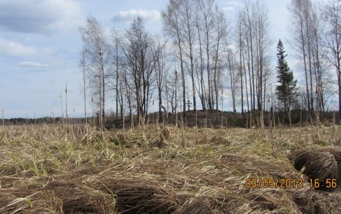 Нижний Чусовской городок