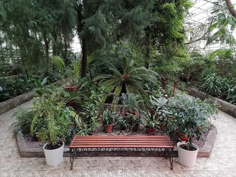 Оранжерея ботанического сада. Фото: https://vk.com/ufa_greenhouse | ВКонтакте (vk.com)