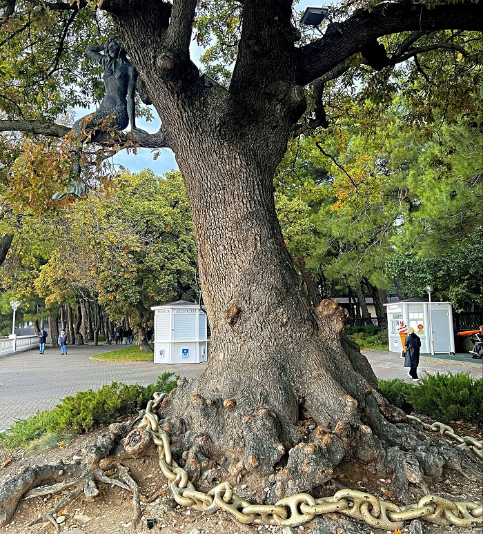 Кот Учёный и Русалка