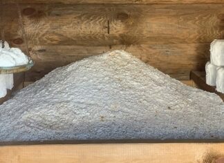 Архитектурно-этнографический музей «Тальцы» Архитектурно-этнографический музей "Тальцы". Фото: Клавдия Зирюкина