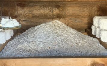 Архитектурно-этнографический музей «Тальцы» Архитектурно-этнографический музей "Тальцы". Фото: Клавдия Зирюкина