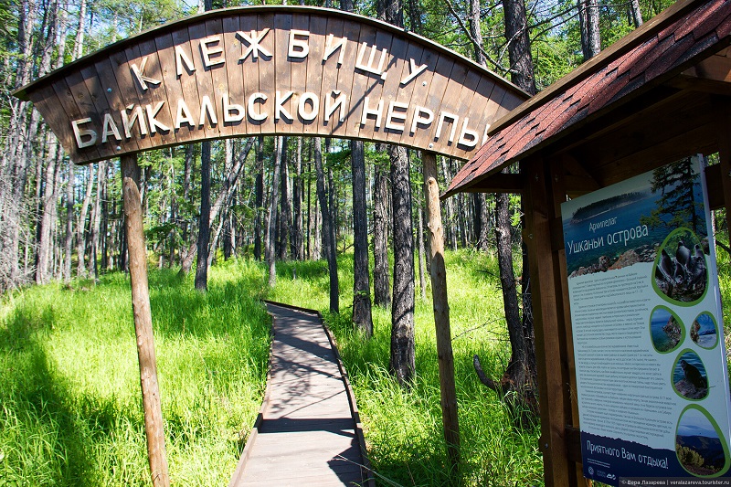 Ушканьи острова. Фото: Вера Лазарева