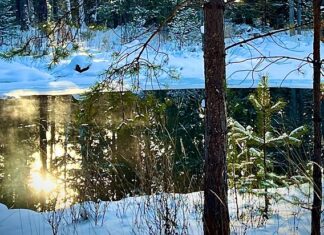 Достопримечательности Свердловской области: загадочное незамерзающее озеро Теплое (Полевской)