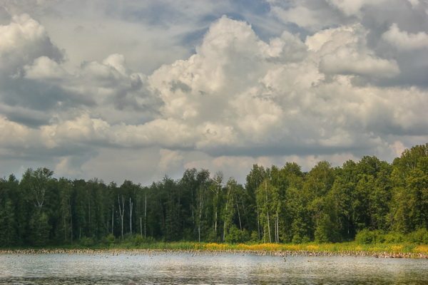 Урал увильды фото