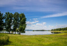 Аргазинское водохранилище (Челябинская область) Аргазинское водохранилище. Фото: Ирина Мелекесцева