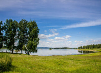 Аргазинское водохранилище (Челябинская область) Аргазинское водохранилище. Фото: Ирина Мелекесцева