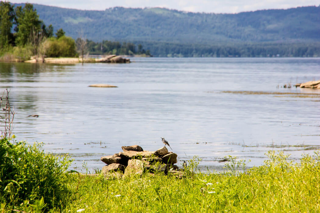 Аргазинское водохранилище. Фото: Ирина Мелекесцева