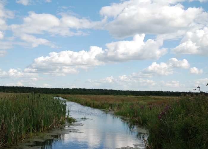 Озеро Беткулово, Сухой Лог, Свердловская область