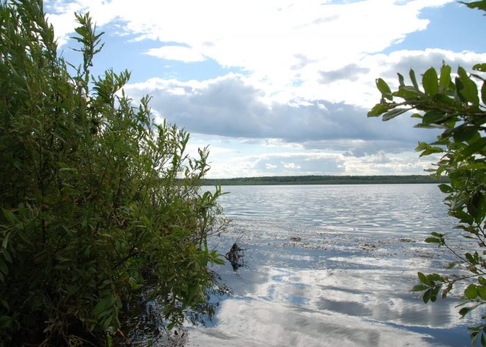Озеро Беткулово, Сухой Лог, Свердловская область