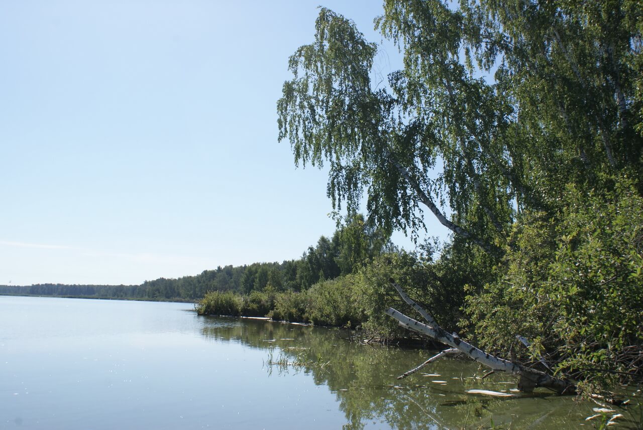 Озеро Ирбитское, Сухой Лог, Свердловская область