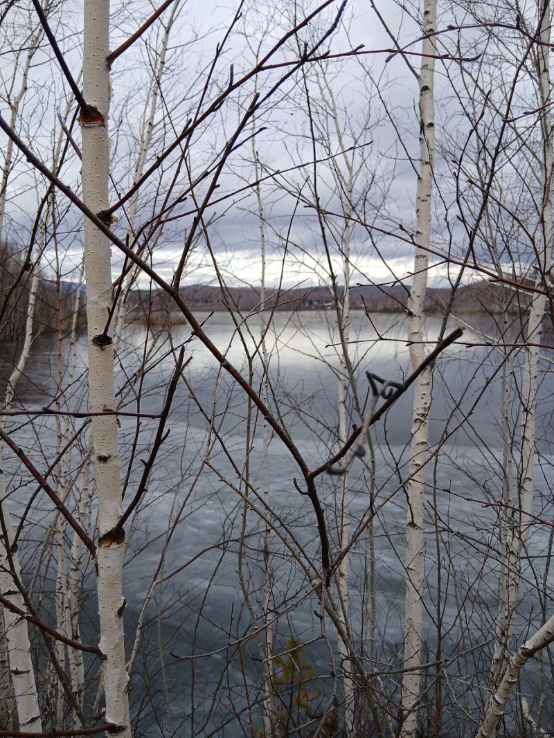 Богородский пруд в Карабаше (Челябинская область). Фото: Николай Лебедев