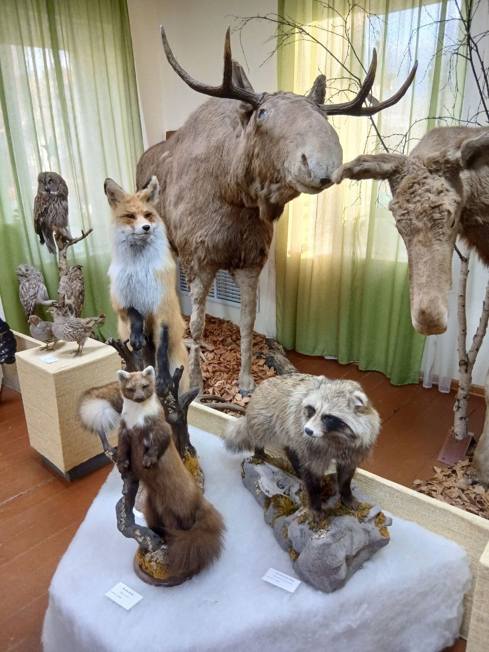 Краеведческий музей Карабаша. Фото: Николай Лебедев