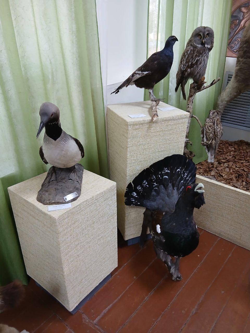 Краеведческий музей Карабаша. Фото: Николай Лебедев / https://lebedev.world/