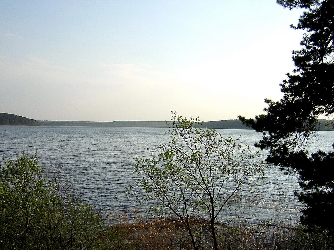 Национальный парк Припышминские боры, Озеро Гурино
