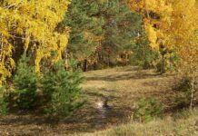 Тюменская область, село Исетское, малые города, маршруты по Уралу, маршрут выходного дня, краеведческий музей села Исетского