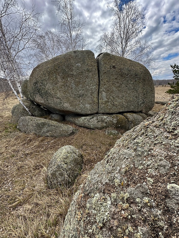 Краснинские слоны. Фото: Ольга Колосова / ВКонтакте