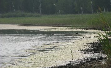 Озеро Сладкое Озеро Сладкое