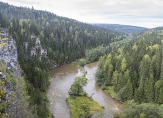 Сплав по реке Вижай от поселка Пашия до реки Вильва