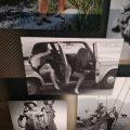 Выставка «​Главные кадры. ТАСС открывает фотоархивы»​