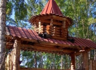 Музей деревянного зодчества «Светлая Поляна» Музей деревянного зодчества «Светлая Поляна». Фото: сайт музея «Светлая Поляна»