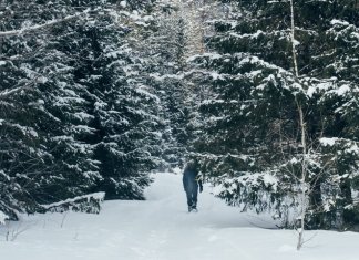 Усть-Койва, маршрут выходного дня, Пермский край