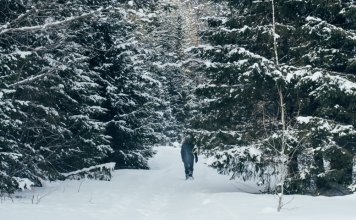 Усть-Койва, маршрут выходного дня, Пермский край