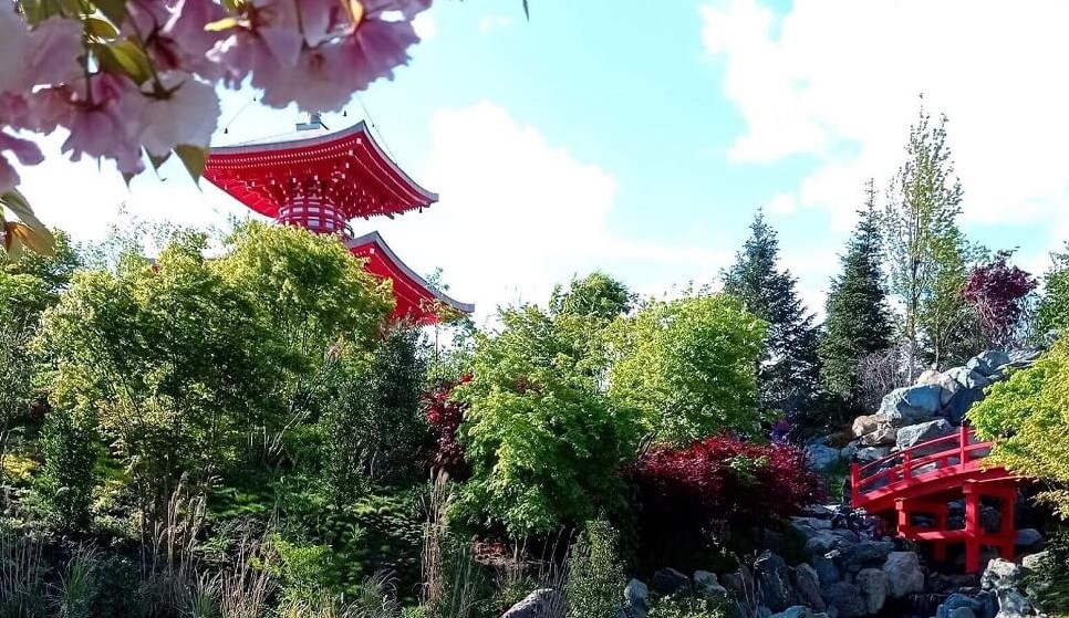 Фото японского сада в парке галицкого в краснодаре