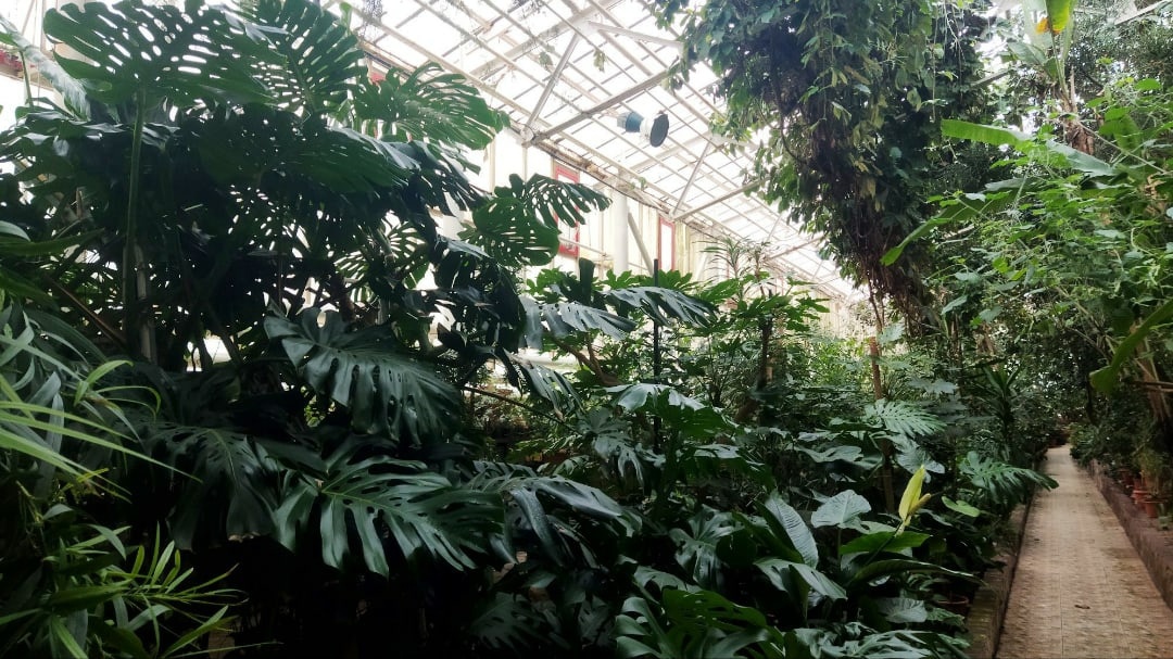 Южно-Уральский ботанический сад в Уфе