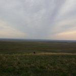 Заповедник «Оренбургский»: участок «Предуральская степь»