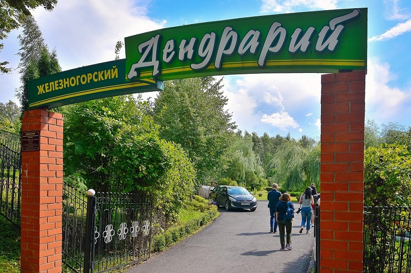 Фото дендрарий железногорск