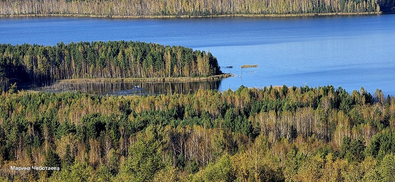 Гора Ельчёвошная. Вид с горы на Волчихинское водохранилище. Фото: Марина Чеботаева
