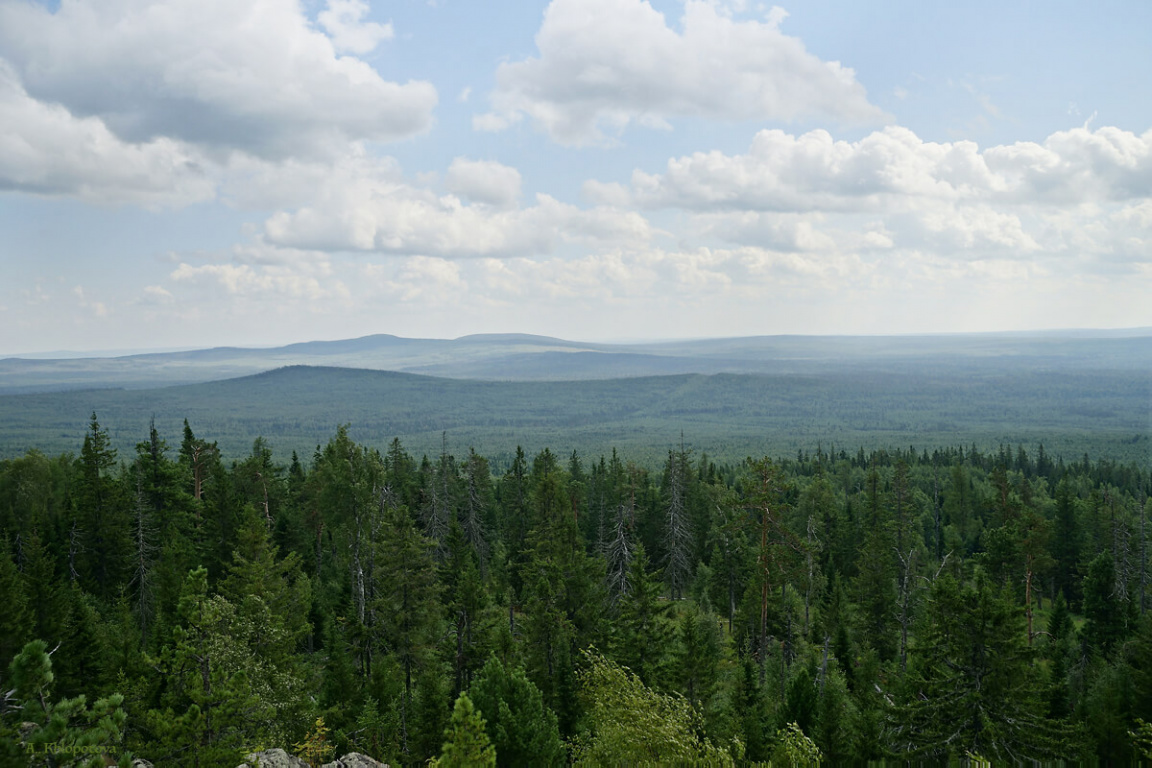 Висимский заповедник свердловской области фото