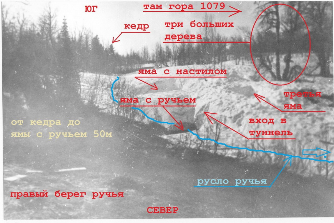 Рисунок 10 Кедр и три ямы в сугробе