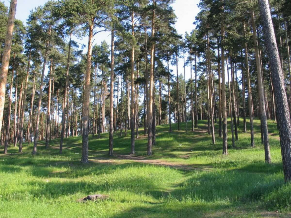 Калиновский лесопарк, Екатеринбург