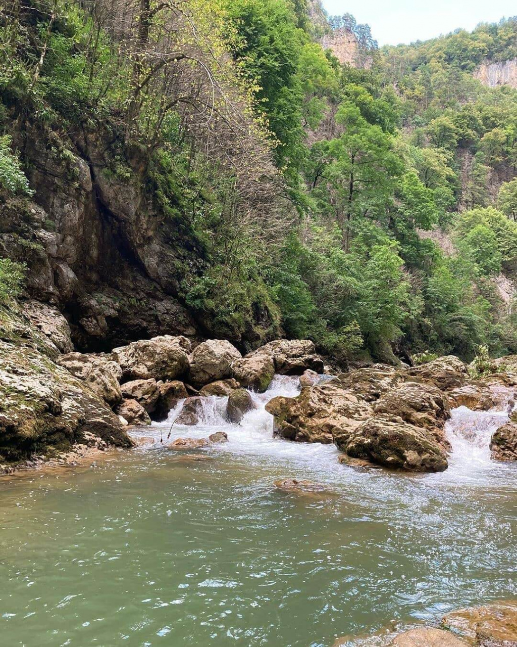 Гуамка и орлиная полка