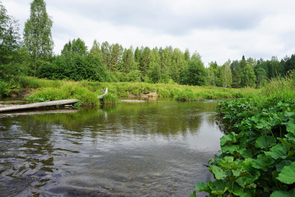 река Чусовая, Свердловская область, Сылвица, река Сылвица, поход Ермака, рассказы об Урале, интересное на Урале, К началу похода Ермака,