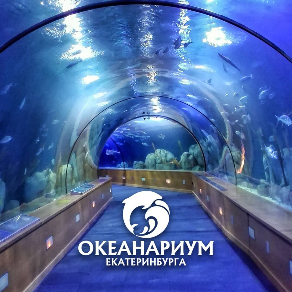 Океанариум екатеринбург схема зала