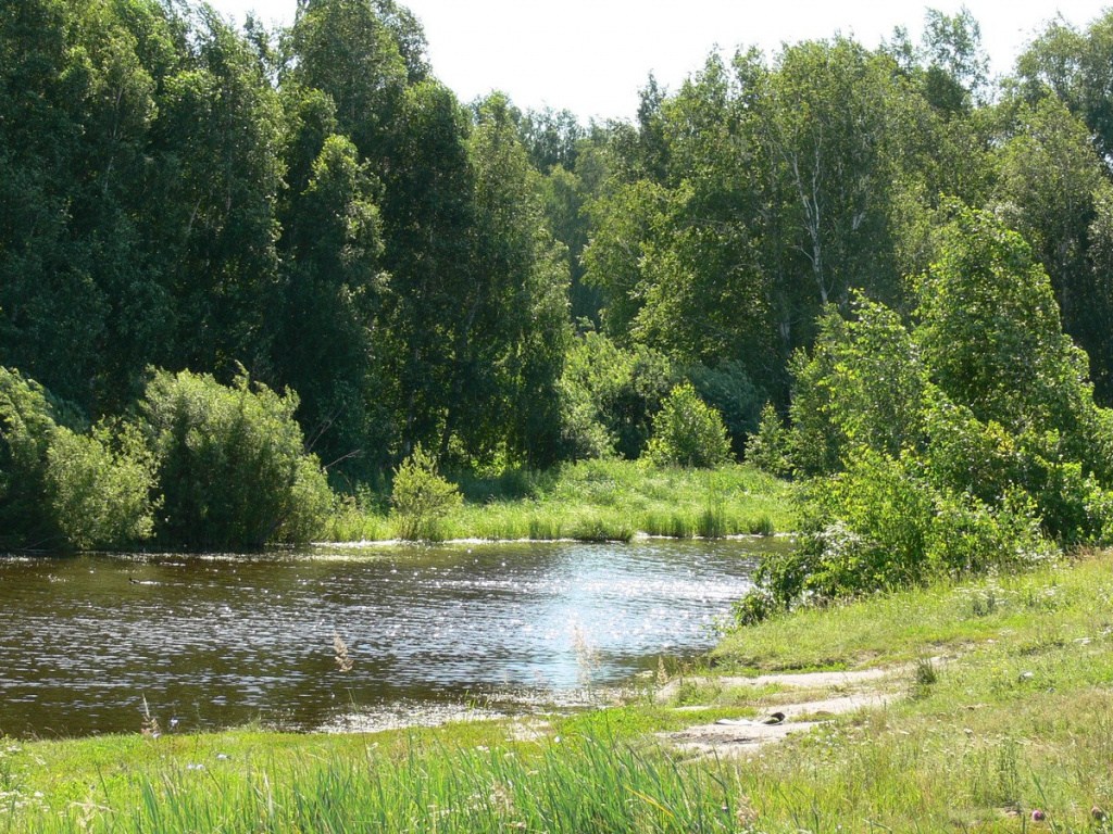 Курганская область, заповедные зоны Урала, Курганский природный заказник, река Тобол, река Уй