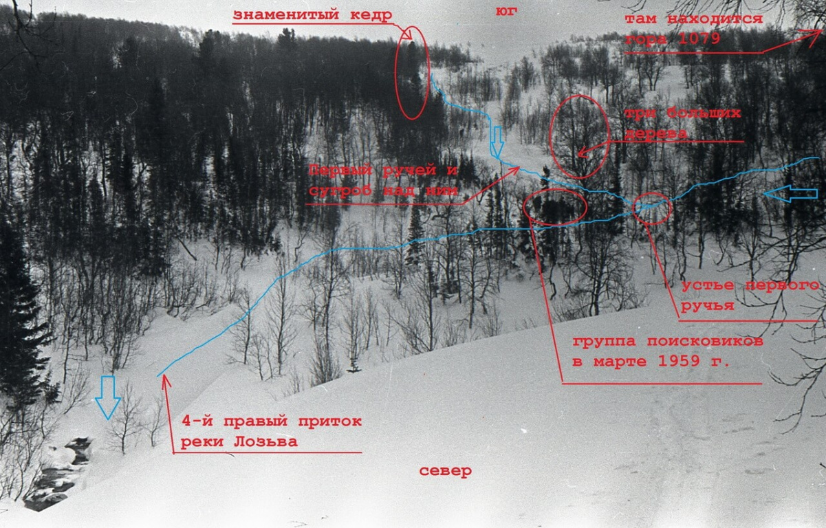 Рисунок 8 Устье первого ручья_сугроб_кедр