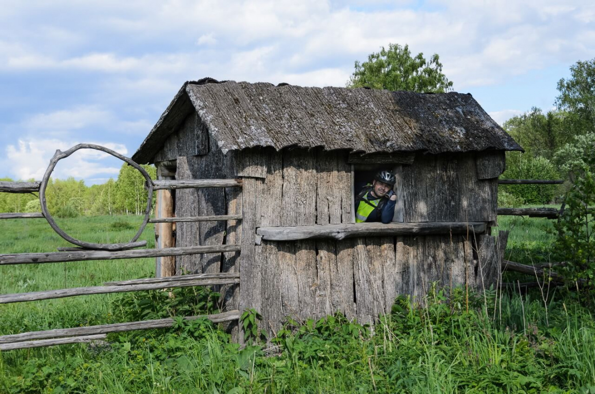 В гостях у сказки