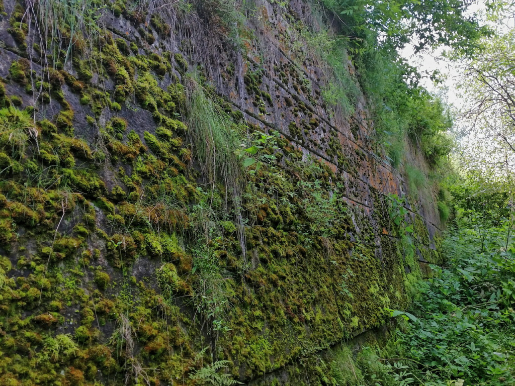 Село Чусовое, Зотовская стена