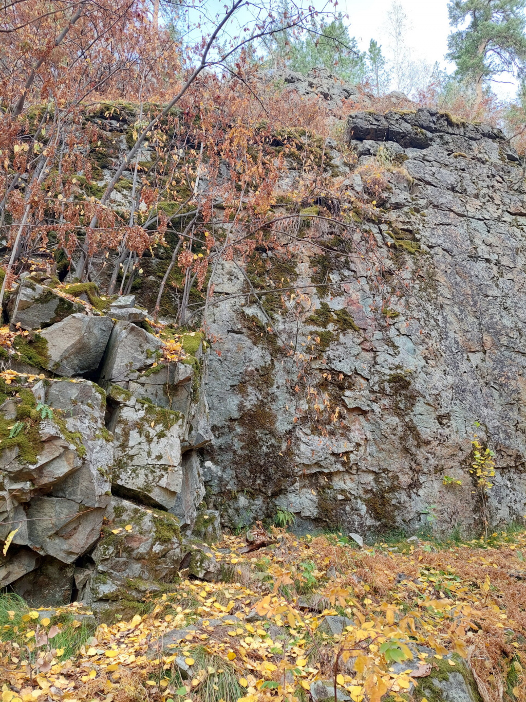 Первые скалы