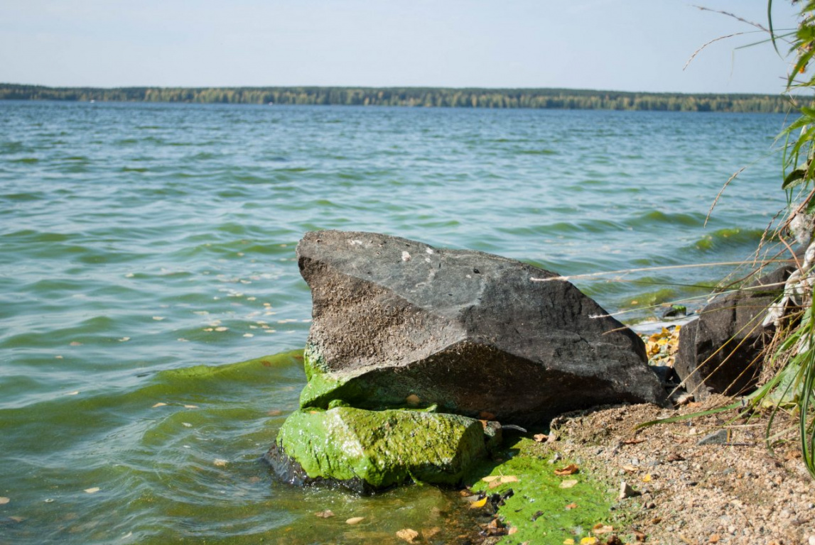 Белоярское водохранилище фото