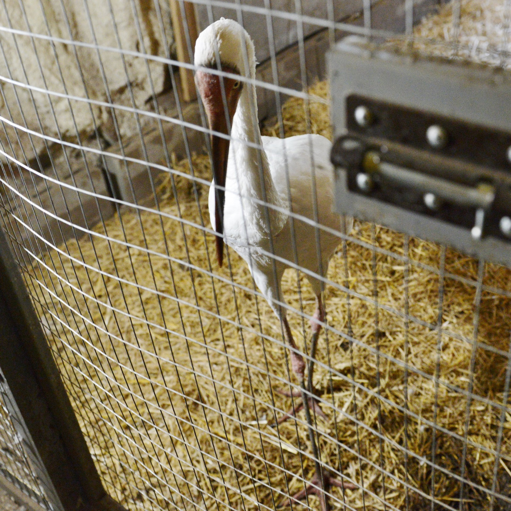 Туристический комплекс «Южное» становится площадкой для научной работы ...