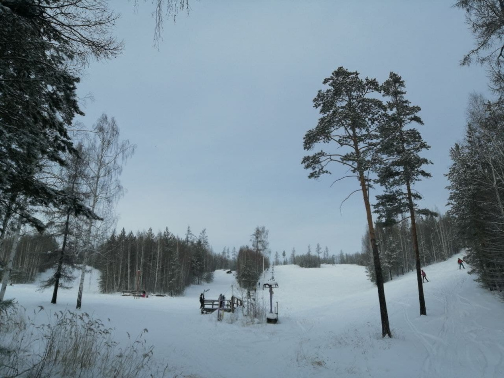 Гора Флюс