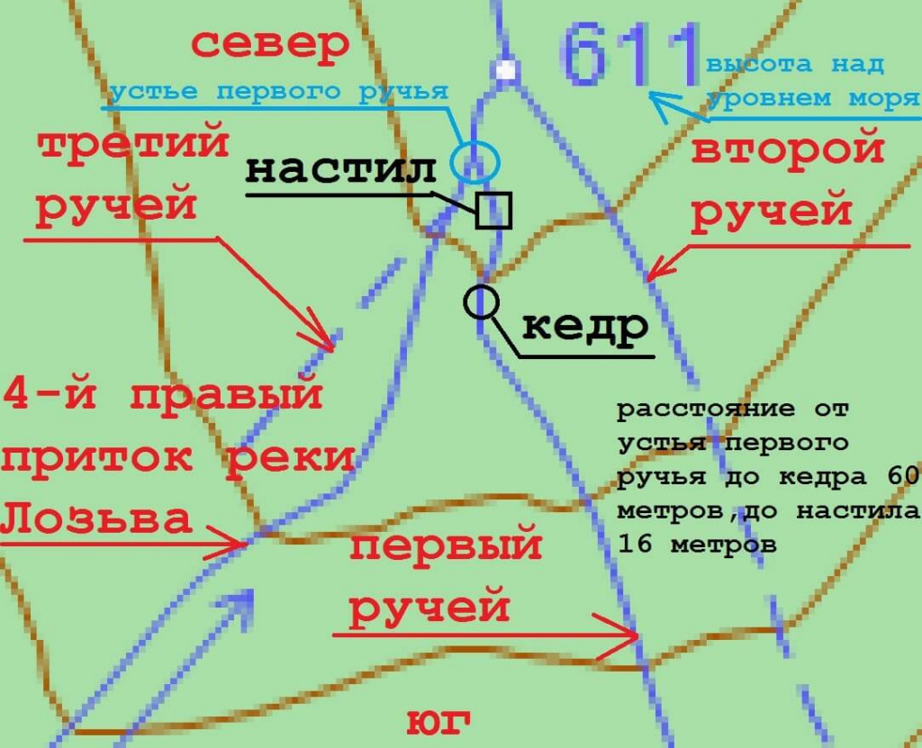 Рисунок 9 Фрагмент карты с кедром